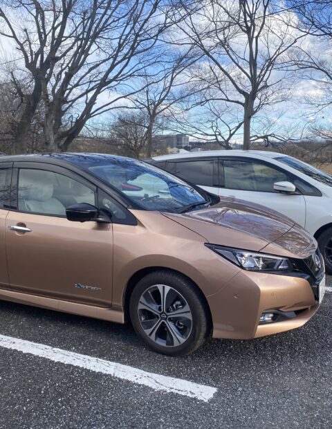 NiSSAN LEAF 日産リーフ　テクノクルーズ　電気自動車